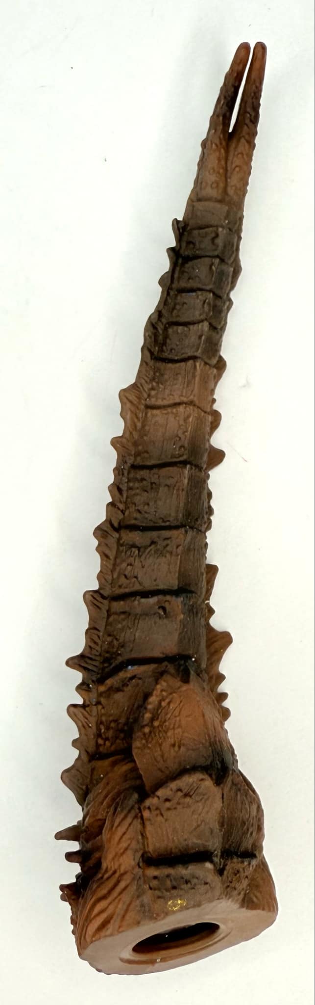 BAF : Brood Queen Tail