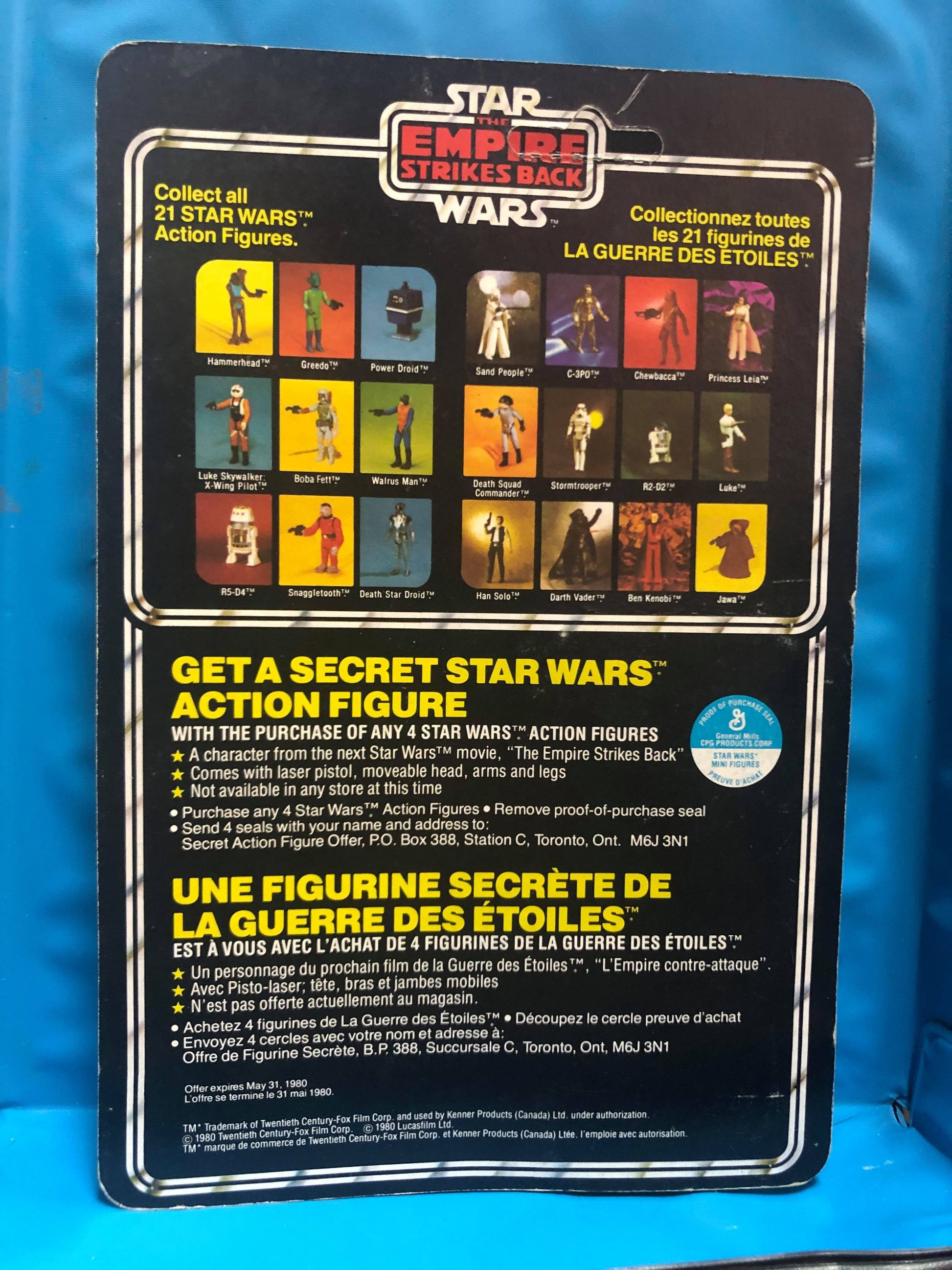 Hammerhead - 21 Back