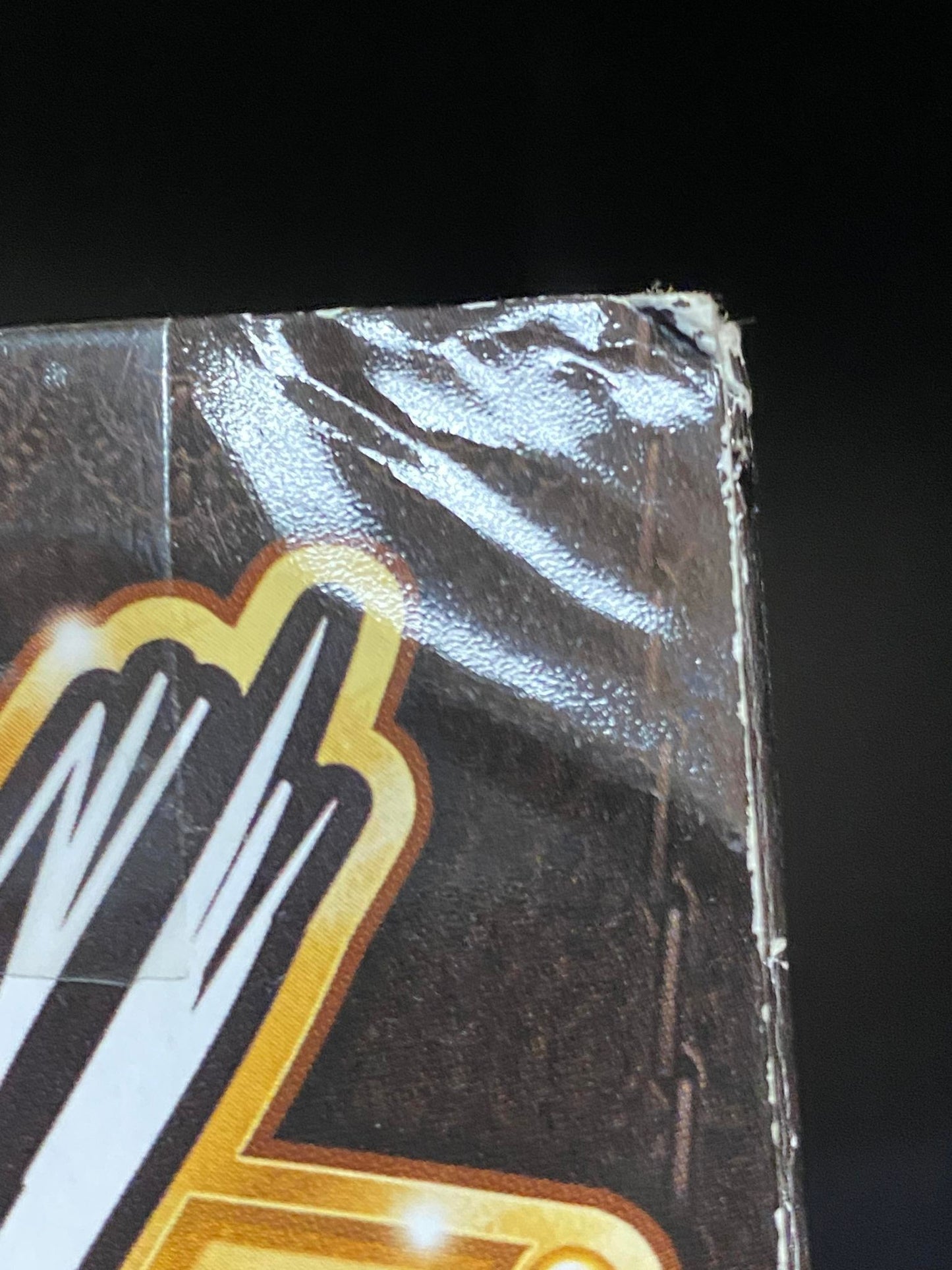 Ricky "The Dragon" Steamboat