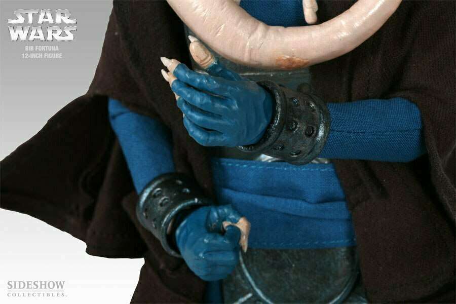 Bib Fortuna