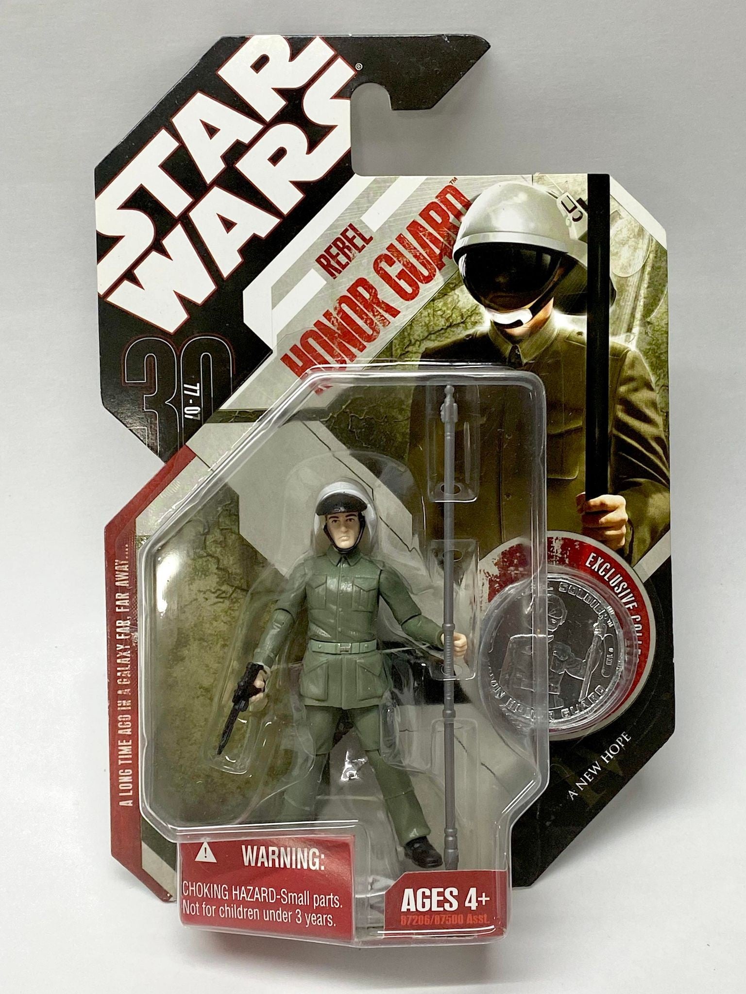 Rebel Honor Guard