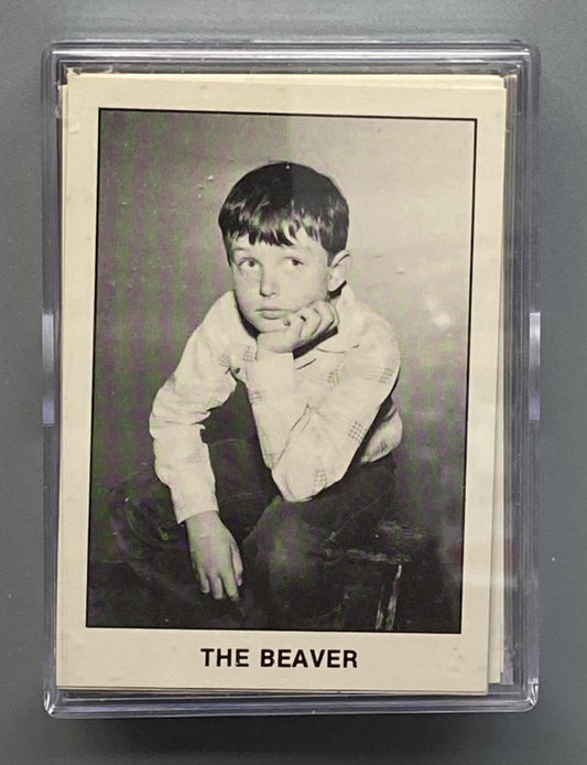 Leave It To Beaver
