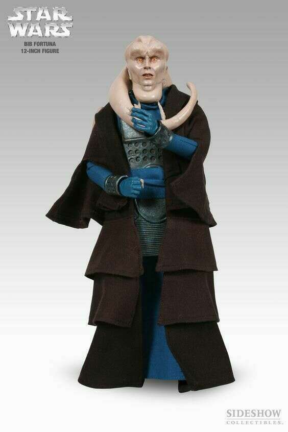 Bib Fortuna