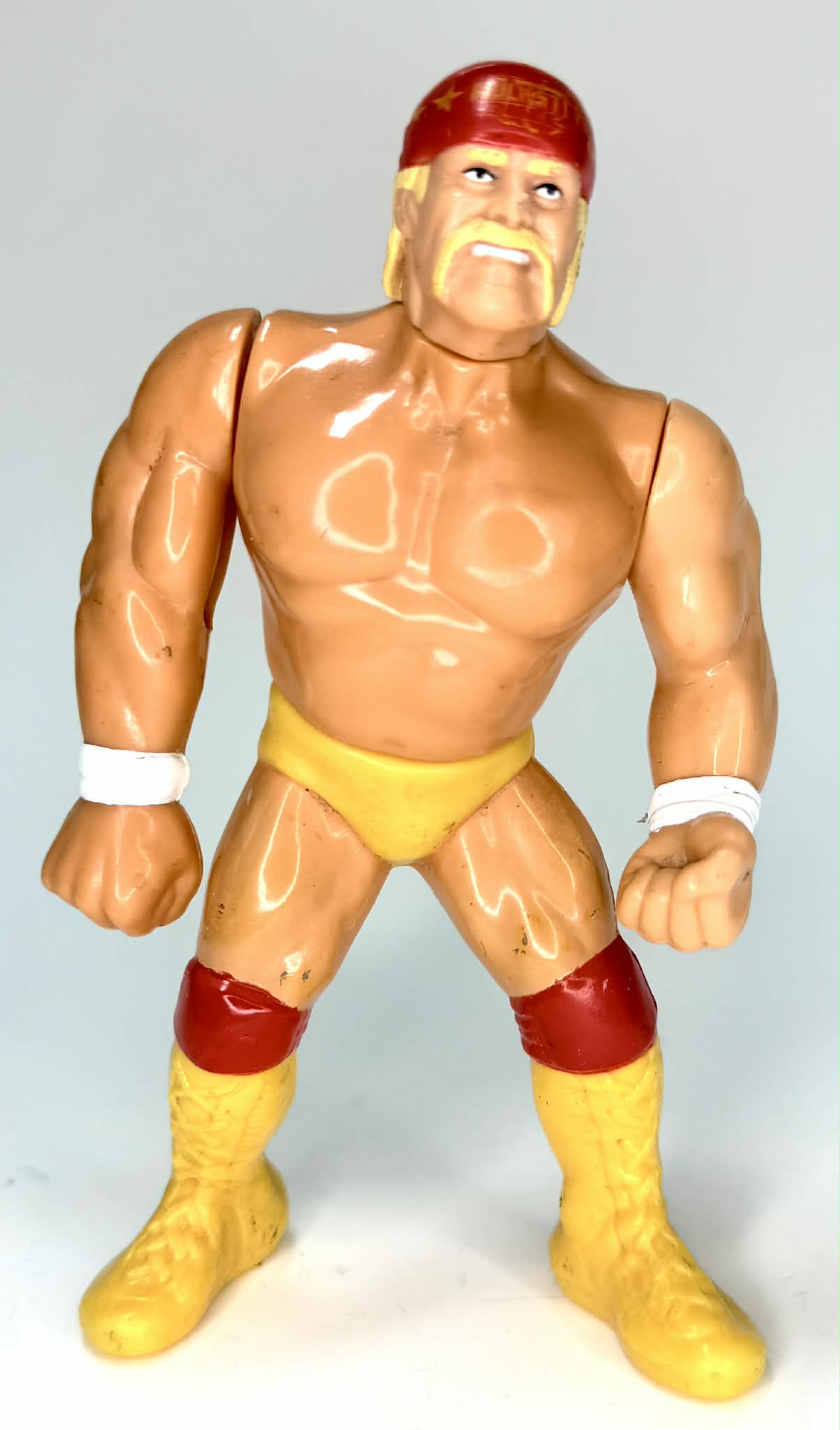 Hulk Hogan