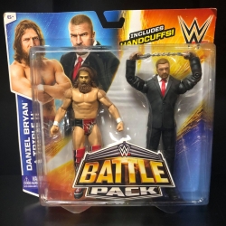 Daniel Bryan / Triple H